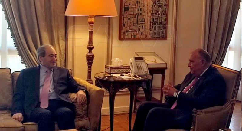 وزير الخارجية السوري في القاهرة لأول مرة منذ 10 سنوات