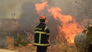 الجزائر تعلن حدادًا وطنيًا لثلاثة أيام