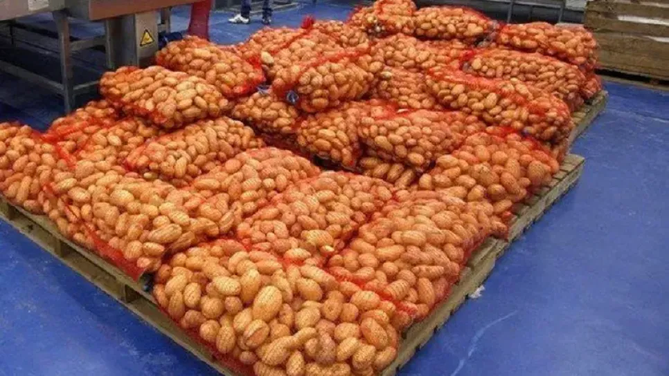 Pomme de terre : Un spéculateur lourdement condamné à Boumerdès