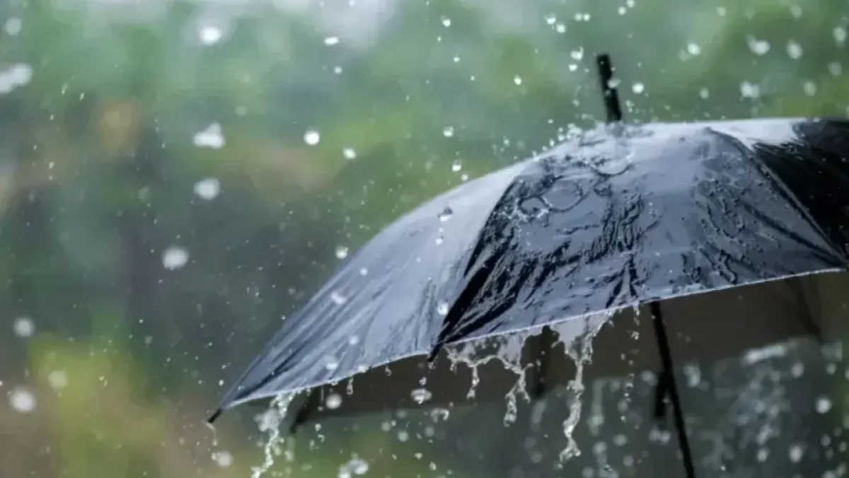 نشرية خاصة: أمطار غزيرة على 9 ولايات