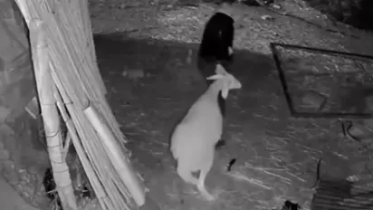 صورة: أرشيف