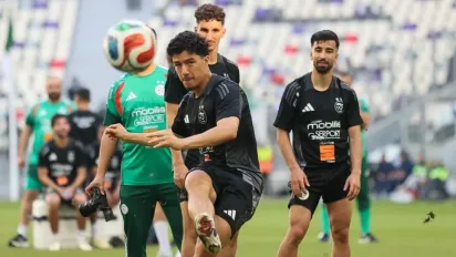 الصورة: "الفاف".