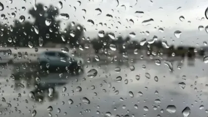 الصورة: م.ح