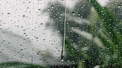 الصورة: ح. م
