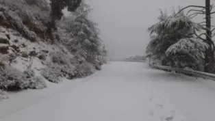 الصورة : ح.م