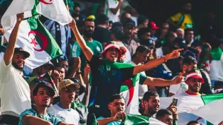 الصورة: "الفاف"