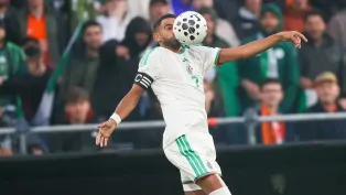 الصورة: "الفاف"