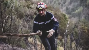 الصورة: الحماية المدنية الجزائرية