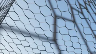 الصورة: "الفاف"