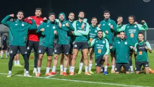 الصورة: "الفاف"