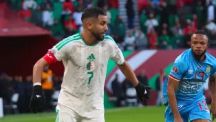 الصورة: "الفاف"