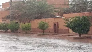 ح.م