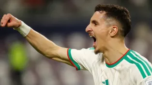 الصورة: "الفاف"