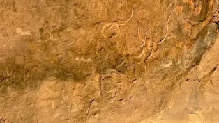"البقرة الباكية"، من أقدم الجداريات في الطاسيلي ناجر، يزيد عمرها عن 70000 عام - الصورة: هدى مشاشبي