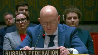 صور: المندوب الروسي لدى الأمم المتحدة