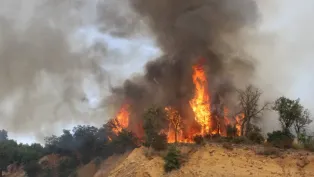 الصورة: وزارة الدفاع الوطني