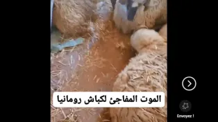 الصورة: فيسبوك