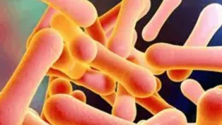 الصورة : ح.م