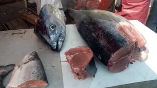 صورة: ب.سليم