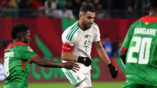 الصورة: "الفاف"