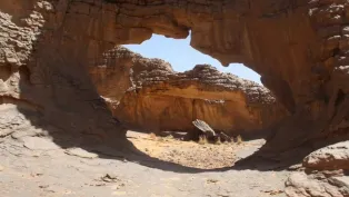 الصورة: "الخبر"