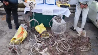 الصورة : ح.م