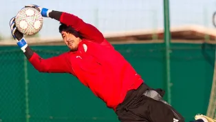 الصورة: "الفاف"