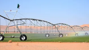 المنيعة.. تتأهب لتكون سلة غذاء الجزائر