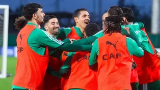 الصورة: "الفاف"