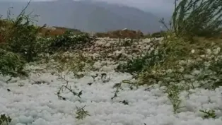 الصورة:ط. بن جمعة