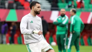 الصورة: "الفاف"