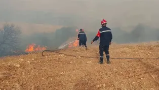 الصورة: ح. م