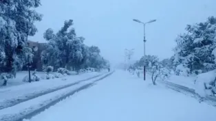 الصورة : ح.م