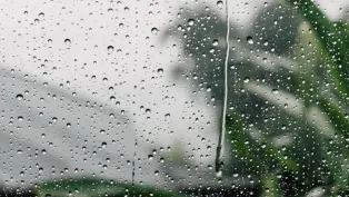 الصورة: م.ح