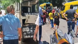 الصورة: ح. م