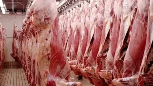 الصورة : ح.م