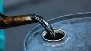 ح.م
