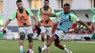 الصورة: "الفاف"