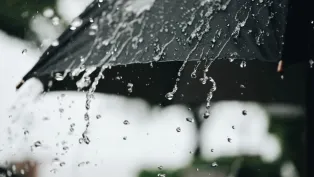 الصورة: ح. م