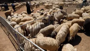 الصورة: حمزة كالي، "الخبر"