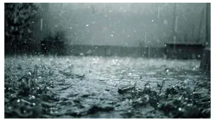 الصورة: ح. م