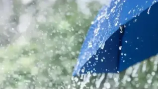 الصورة: م.ح