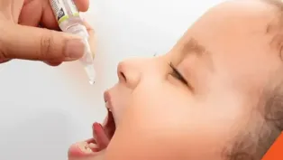 الصورة : ح.م