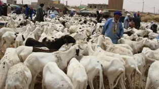 صورة من اللقاء نشرتها وسائل إعلام موريتانية