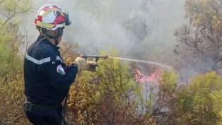 الصورة: الحماية المدنية الجزائرية