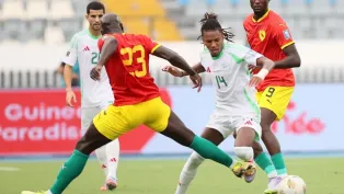 الصورة: الفاف