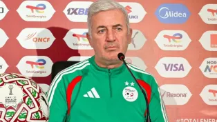 فلاديمير بيتكوفيتش