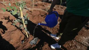 الصورة: حمزة كالي "الخبر"