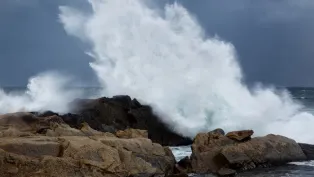 الصورة: ح. م