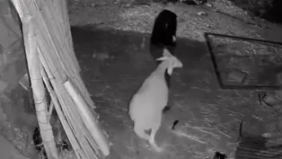 صورة: أرشيف